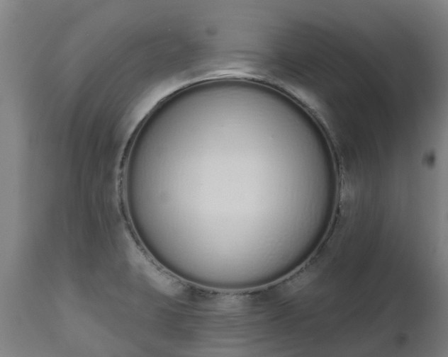 X0000112501423200908241339