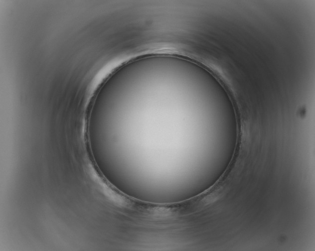 X0000112501424200908241339