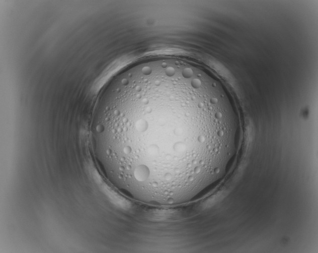 X0000112501425200908241339