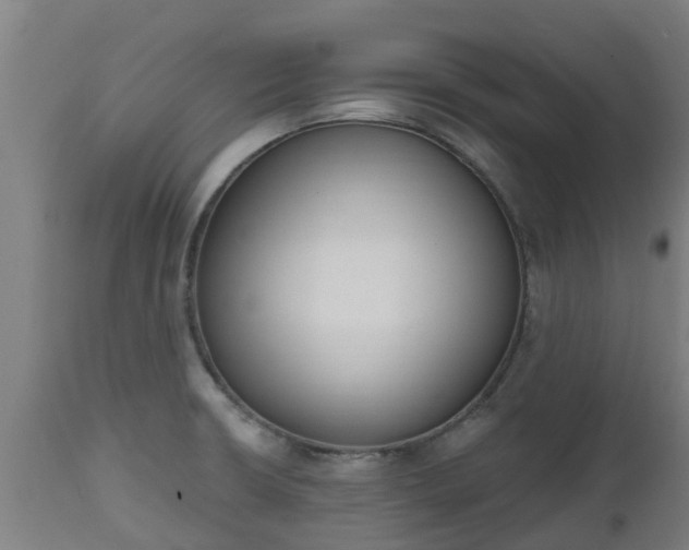 X0000112501426200908241339