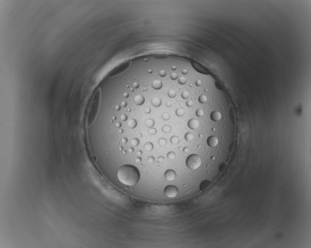 X0000112501427200908241339