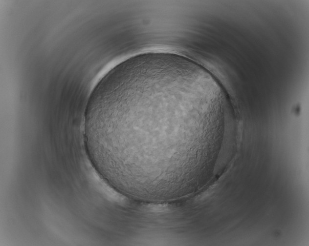 X0000112501428200908241339