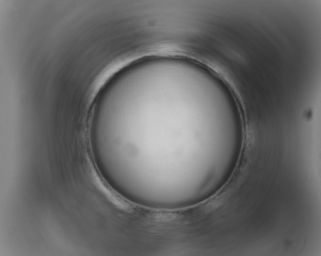 X0000112501429200908241339