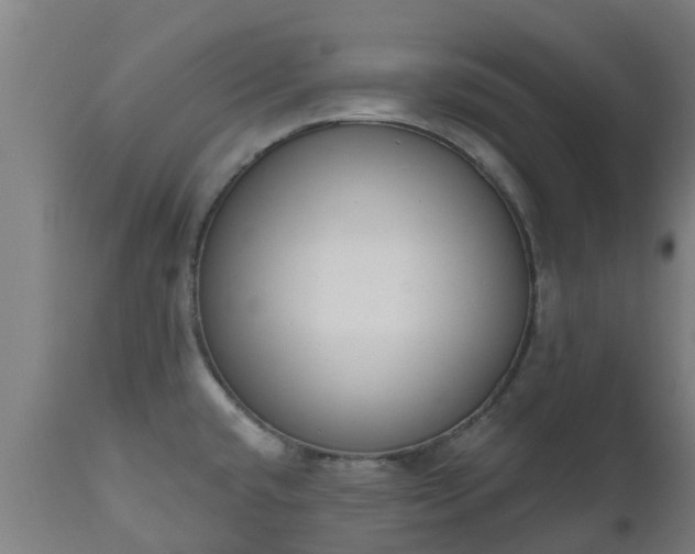 X0000112501432200908241339