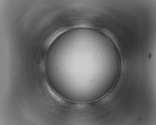 X0000112501433200908241339