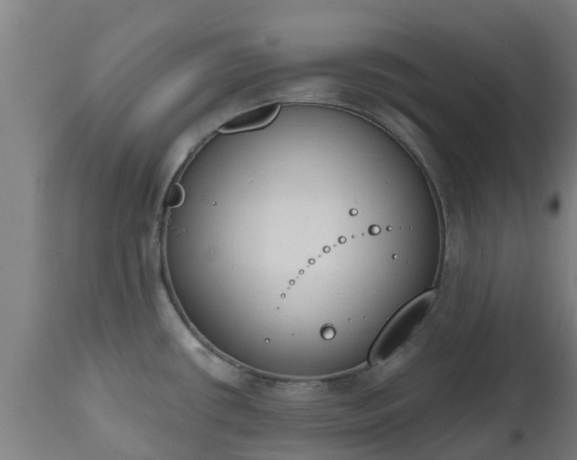 X0000112501434200908241339