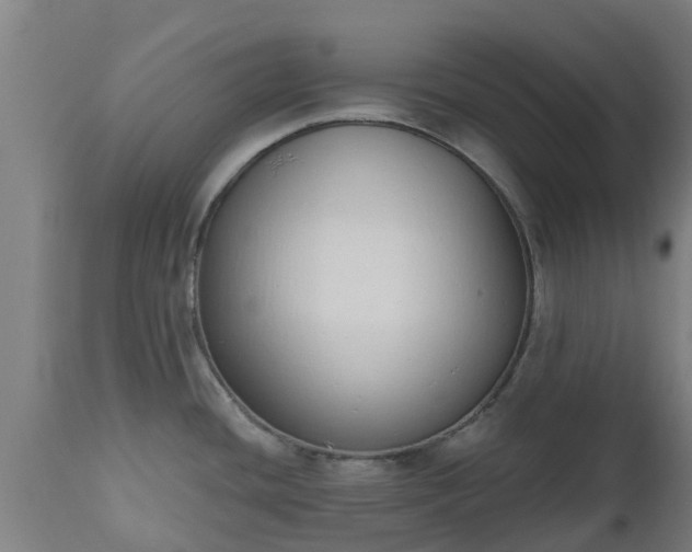 X0000112501436200908241339