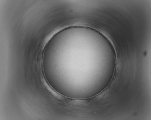 X0000112501437200908241339