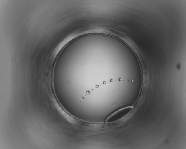 X0000112501438200908241339