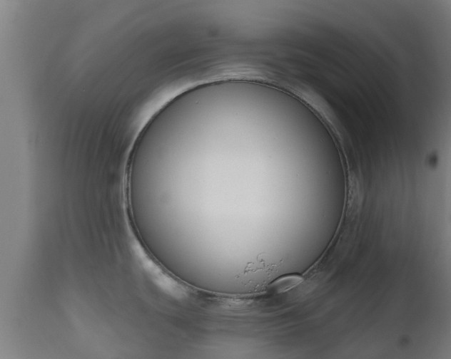 X0000112501439200908241339