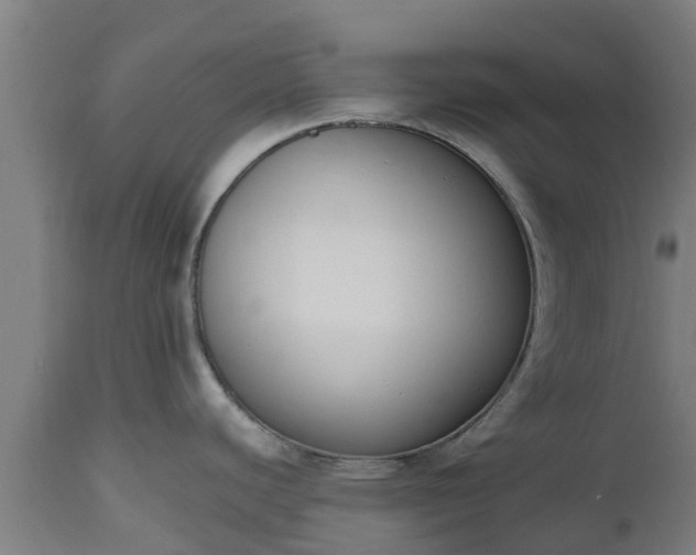 X0000112501440200908241339