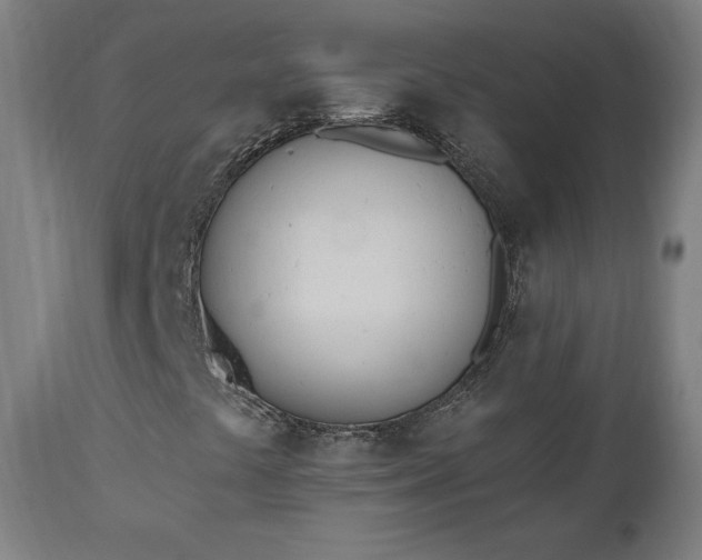 X0000112501441200908241338