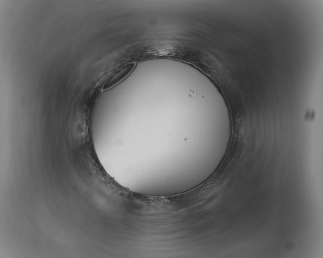 X0000112501442200908241338