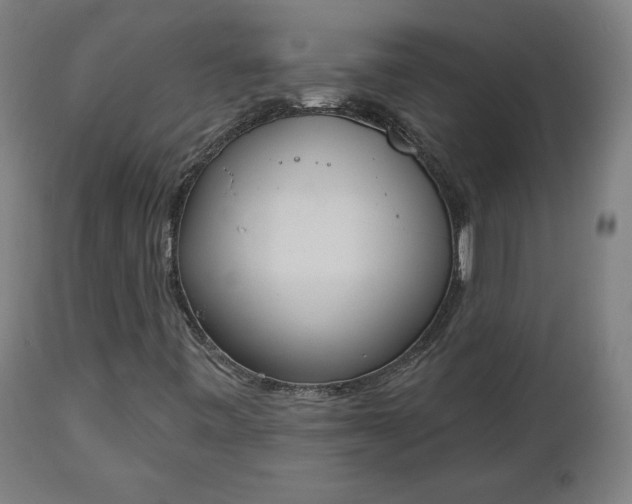 X0000112501443200908241338