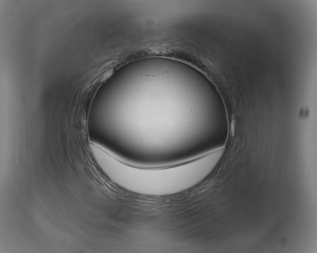 X0000112501444200908241338