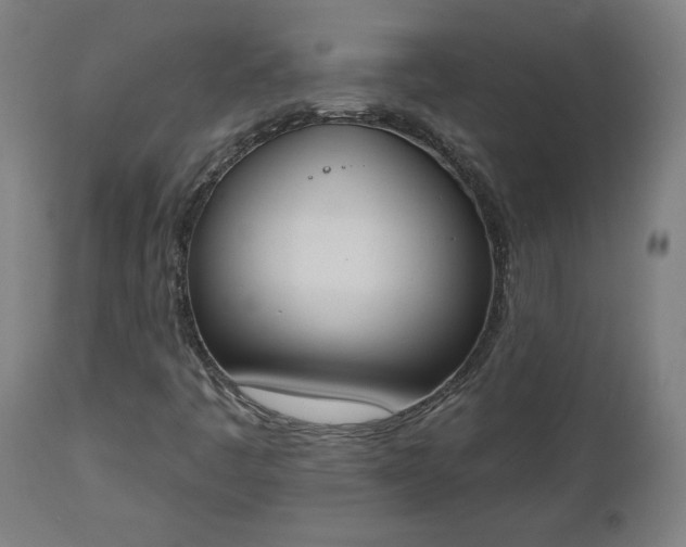 X0000112501445200908241338