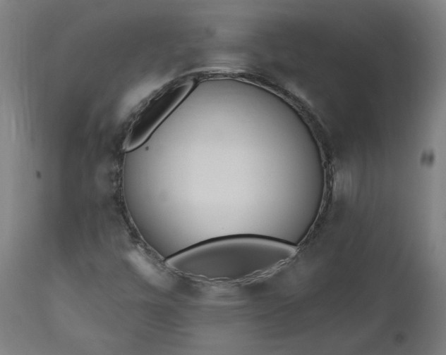 X0000112501448200908241338