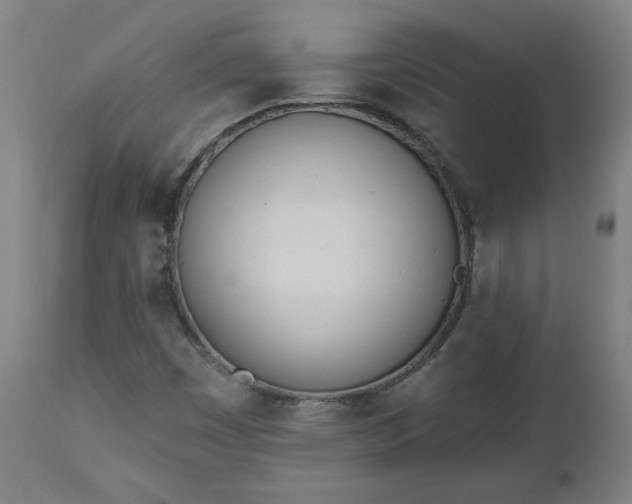 X0000112501449200908241338