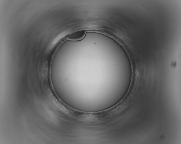 X0000112501450200908241338