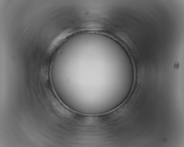 X0000112501451200908241338