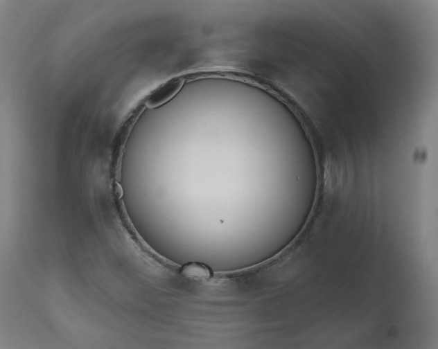 X0000112501452200908241338