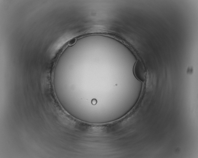 X0000112501453200908241338