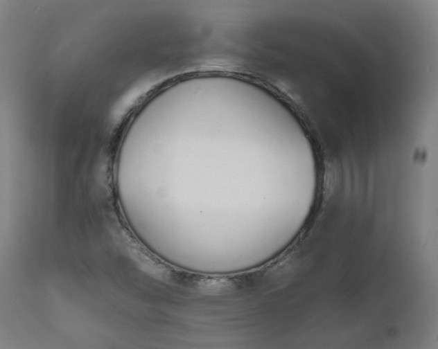 X0000112501454200908241338