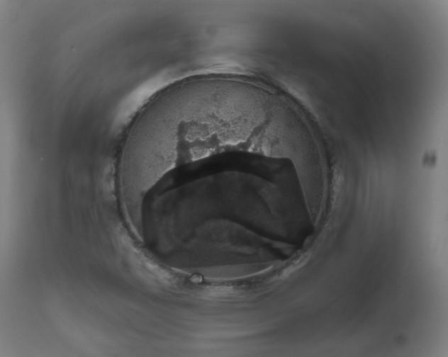 X0000112501455200908241338