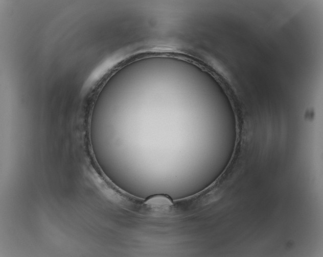 X0000112501456200908241338