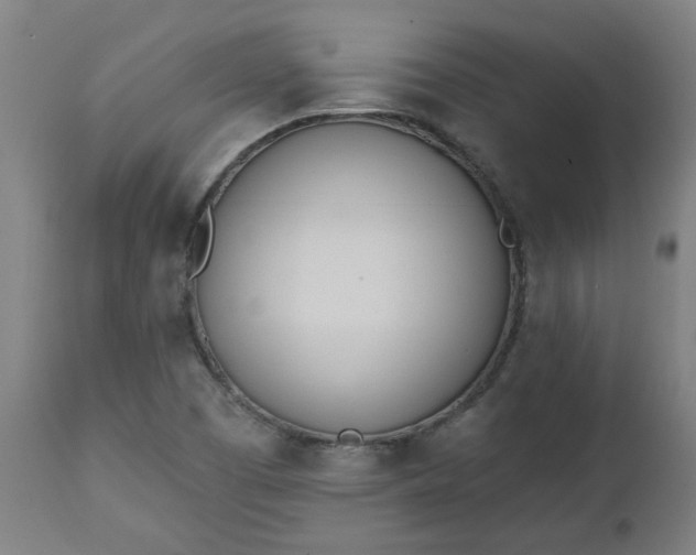 X0000112501457200908241338