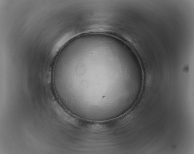 X0000112501459200908241338