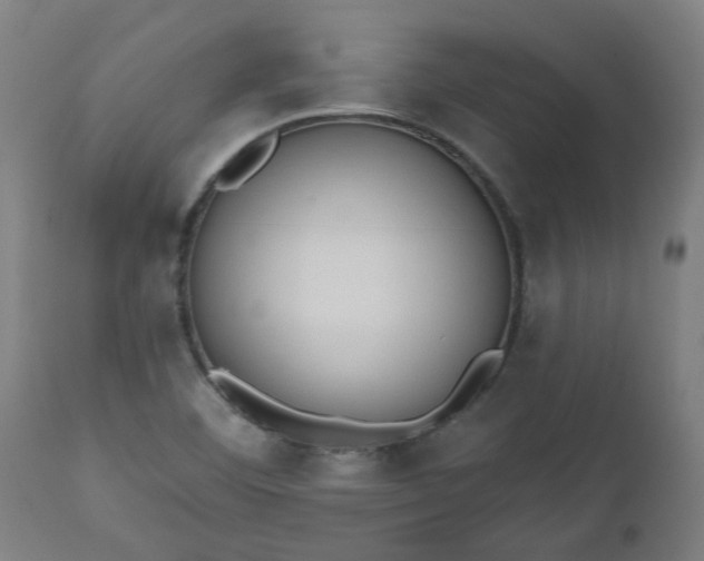 X0000112501460200908241338