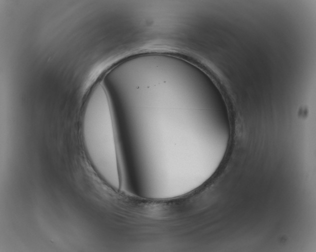 X0000112501461200908241338