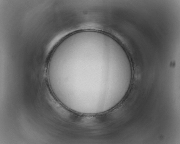 X0000112501462200908241338