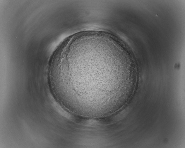 X0000112501463200908241338