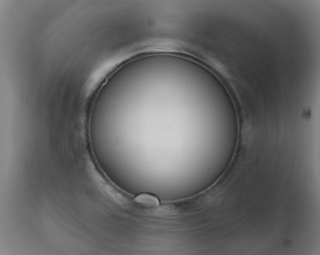 X0000112501464200908241338