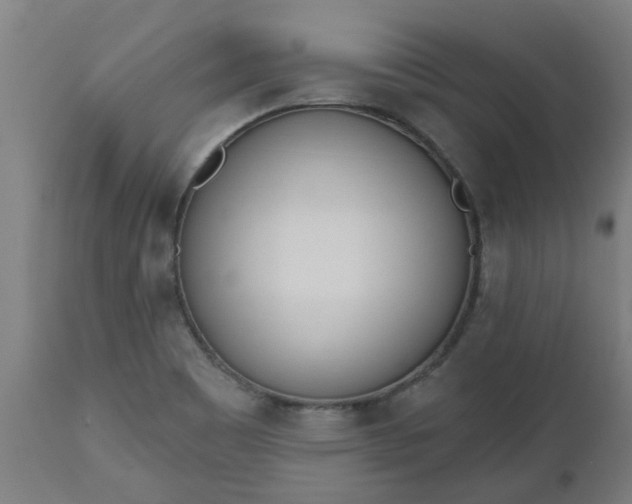 X0000112501465200908241338