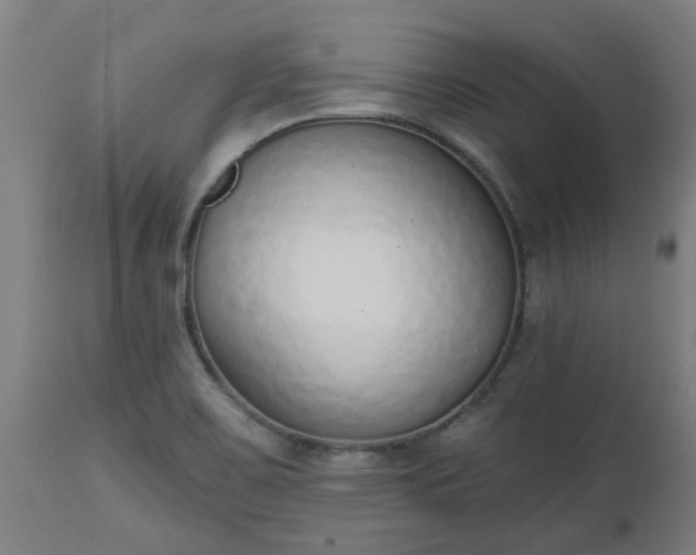 X0000112501467200908241338