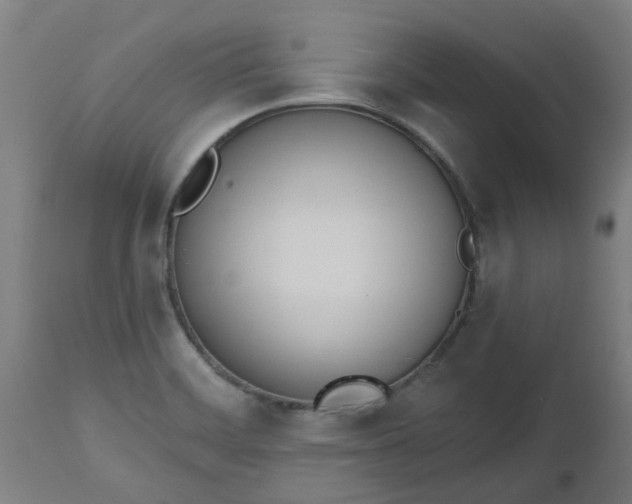 X0000112501468200908241338