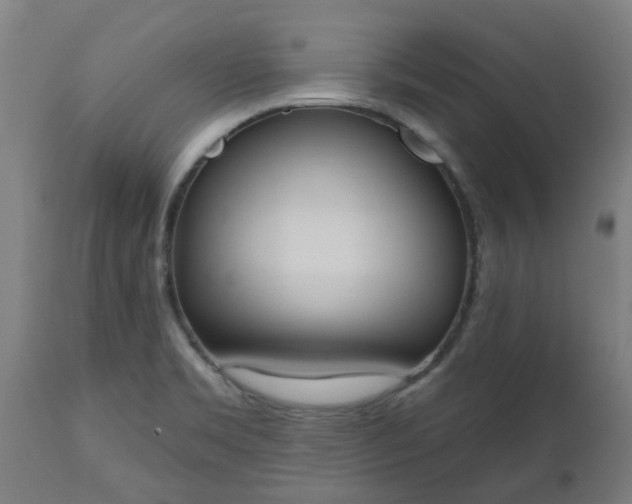 X0000112501469200908241338