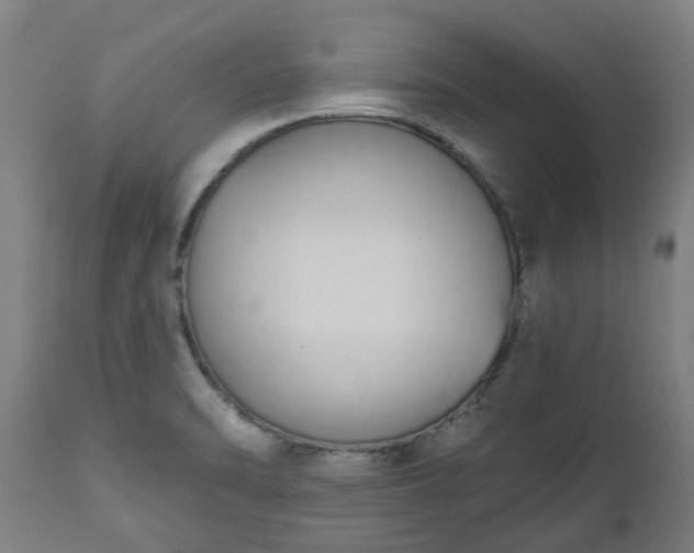 X0000112501470200908241338