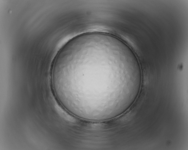 X0000112501471200908241338