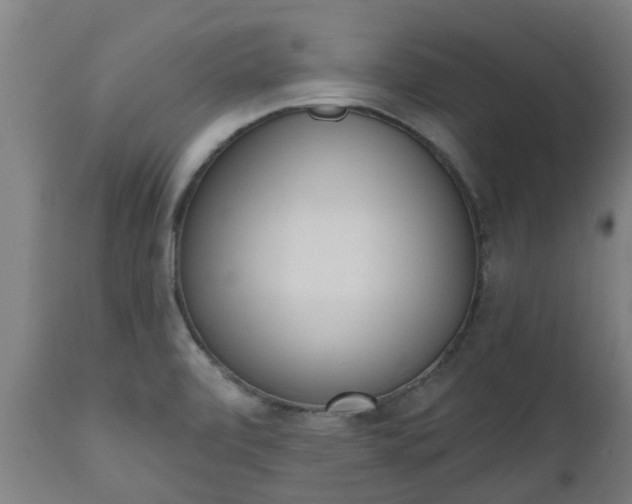 X0000112501472200908241338