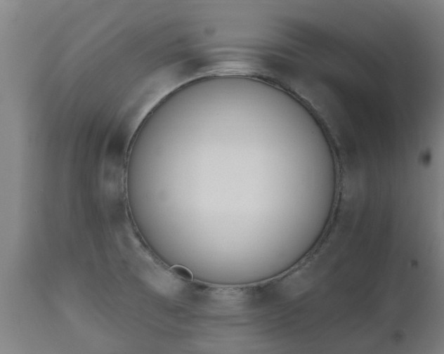 X0000112501473200908241338