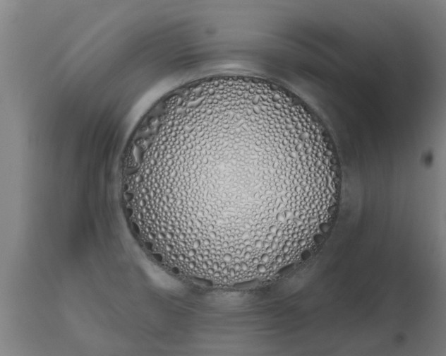 X0000112501474200908241338