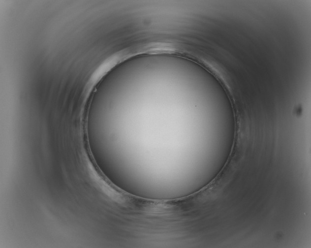 X0000112501475200908241338