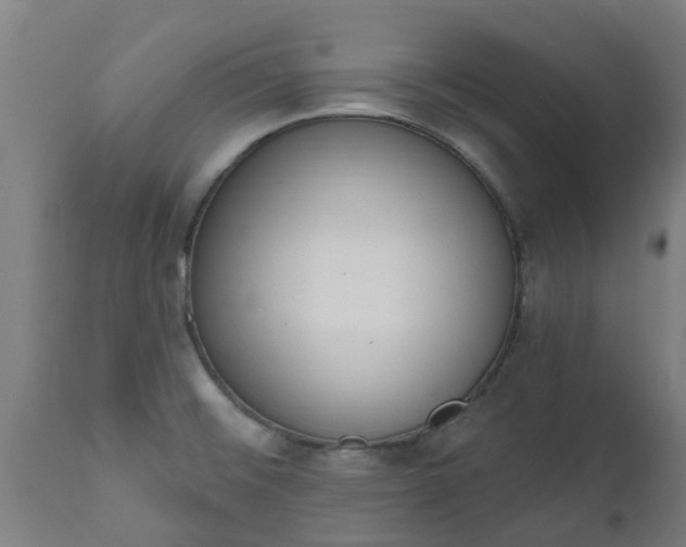 X0000112501476200908241338