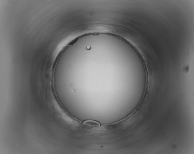 X0000112501477200908241338