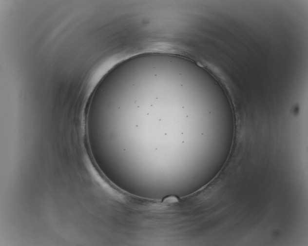 X0000112501479200908241338