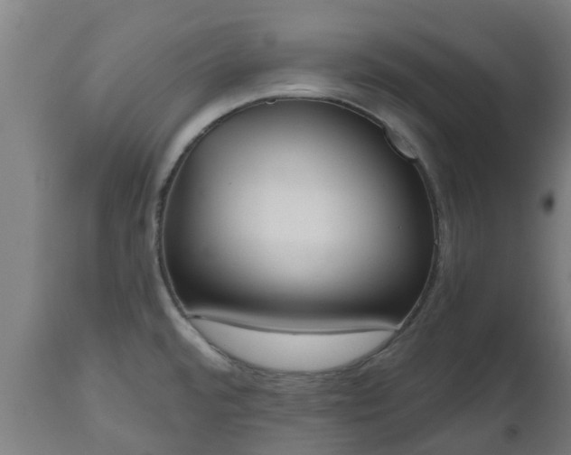 X0000112501480200908241338